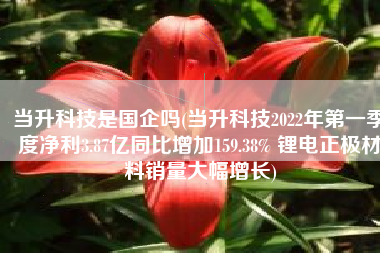 当升科技是国企吗(当升科技2022年第一季度净利3.87亿同比增加159.38% 锂电正极材料销量大幅增长)