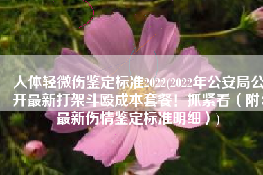 人体轻微伤鉴定标准2022(2022年公安局公开最新打架斗殴成本套餐！抓紧看（附：最新伤情鉴定标准明细）)