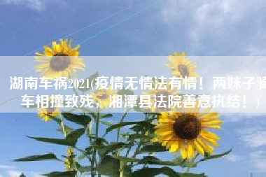 湖南车祸2021(疫情无情法有情！两妹子骑车相撞致残，湘潭县法院善意执结！)
