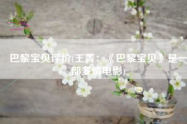巴黎宝贝评价(王菁：《巴黎宝贝》是一部多情电影)