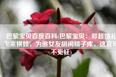 巴黎宝贝百度百科(巴黎宝贝：邓超婚礼飞来横娃，为追女友胡闹精子库，这官司不冤枉)