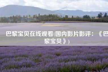 巴黎宝贝在线观看(国内影片影评：《巴黎宝贝》)