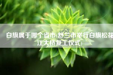 白旗属于哪个省市(舒兰市举行白旗松花江大桥复工仪式)