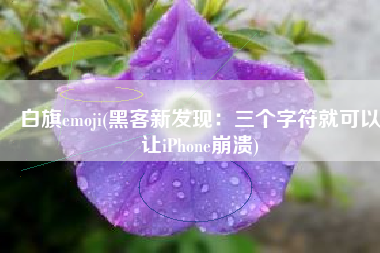 白旗emoji(黑客新发现：三个字符就可以让iPhone崩溃)