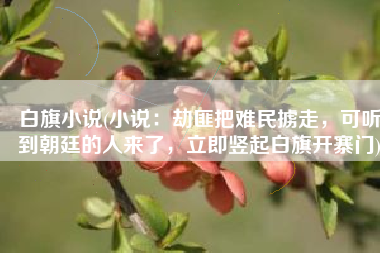 白旗小说(小说：劫匪把难民掳走，可听到朝廷的人来了，立即竖起白旗开寨门)