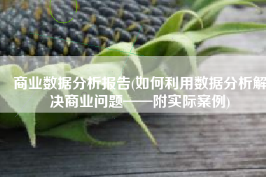 商业数据分析报告(如何利用数据分析解决商业问题——附实际案例)