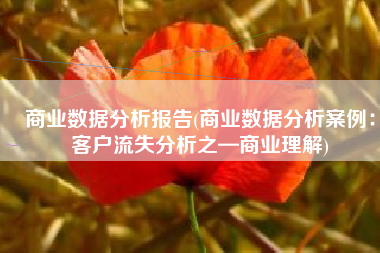 商业数据分析报告(商业数据分析案例：客户流失分析之—商业理解)