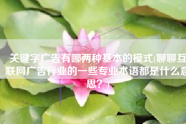 关键字广告有哪两种基本的模式(聊聊互联网广告行业的一些专业术语都是什么意思？)