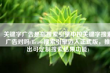 关键字广告是指搜索引擎中按关键字搜索广告对吗(Brave搜索引擎迈入正式版，推出可定制搜索结果功能)