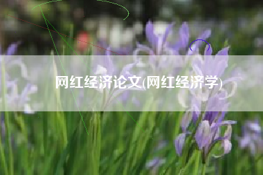 网红经济论文(网红经济学)