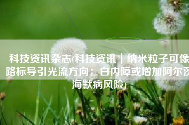 科技资讯杂志(科技资讯｜纳米粒子可像路标导引光流方向；白内障或增加阿尔茨海默病风险)