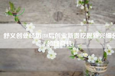 舒义创业经历(80后创业新贵挖掘新兴细分领域商机)