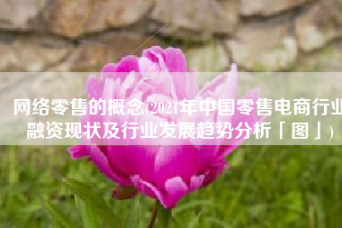 网络零售的概念(2021年中国零售电商行业融资现状及行业发展趋势分析「图」)