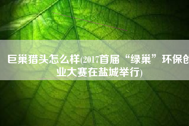 巨巢猎头怎么样(2017首届“绿巢”环保创业大赛在盐城举行)