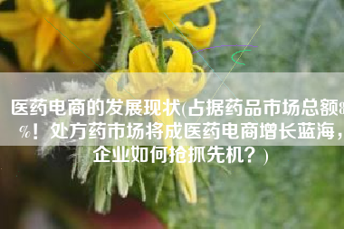 医药电商的发展现状(占据药品市场总额85%！处方药市场将成医药电商增长蓝海，企业如何抢抓先机？)