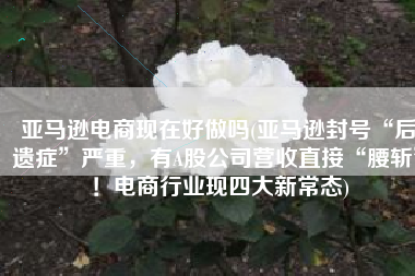 亚马逊电商现在好做吗(亚马逊封号“后遗症”严重，有A股公司营收直接“腰斩”！电商行业现四大新常态)