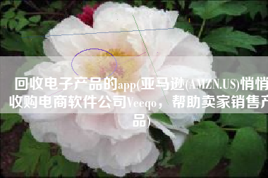 回收电子产品的app(亚马逊(AMZN.US)悄悄收购电商软件公司Veeqo，帮助卖家销售产品)