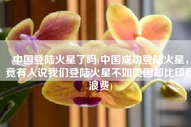 中国登陆火星了吗(中国成功登陆火星，竟有人说我们登陆火星不如美国却比印度浪费)