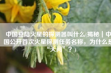 中国登陆火星的探测器叫什么(揭秘｜中国公开首次火星探测任务名称，为什么是“天问”？)