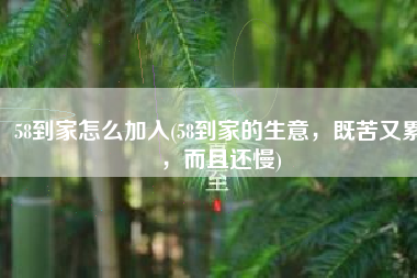 58到家怎么加入(58到家的生意，既苦又累，而且还慢)