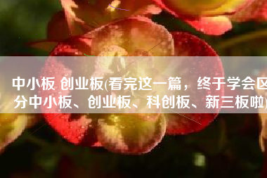 中小板 创业板(看完这一篇，终于学会区分中小板、创业板、科创板、新三板啦)