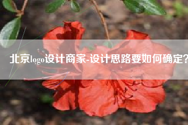 北京logo设计商家-设计思路要如何确定？