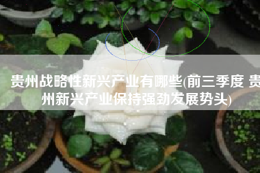 贵州战略性新兴产业有哪些(前三季度 贵州新兴产业保持强劲发展势头)
