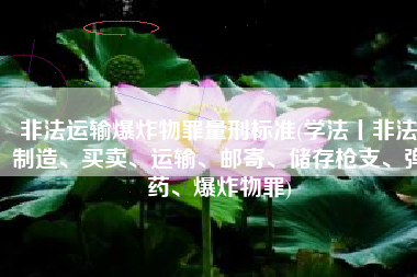 非法运输爆炸物罪量刑标准(学法丨非法制造、买卖、运输、邮寄、储存枪支、弹药、爆炸物罪)