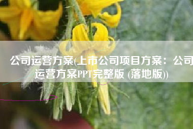 公司运营方案(上市公司项目方案：公司运营方案PPT完整版 (落地版))