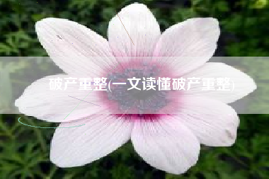 破产重整(一文读懂破产重整)