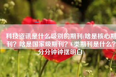 科技资讯是什么级别的期刊(啥是核心期刊？啥是国家级期刊？C类期刊是什么？分分钟钟摆明白)