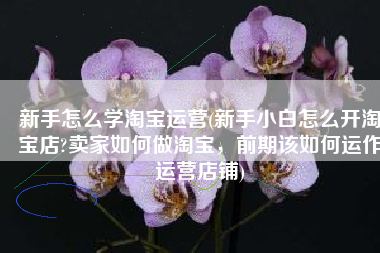 新手怎么学淘宝运营(新手小白怎么开淘宝店?卖家如何做淘宝，前期该如何运作运营店铺)