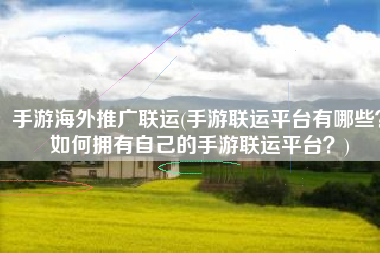 手游海外推广联运(手游联运平台有哪些？如何拥有自己的手游联运平台？)