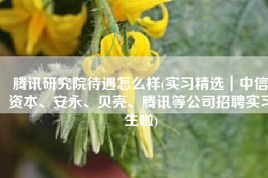 腾讯研究院待遇怎么样(实习精选｜中信资本、安永、贝壳、腾讯等公司招聘实习生啦)