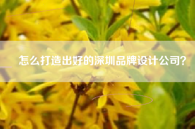 怎么打造出好的深圳品牌设计公司？