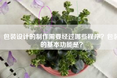 包装设计的制作需要经过哪些程序？包装的基本功能是？