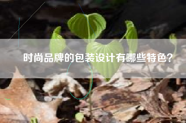 时尚品牌的包装设计有哪些特色？
