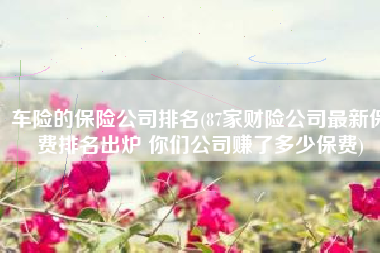 车险的保险公司排名(87家财险公司最新保费排名出炉 你们公司赚了多少保费)