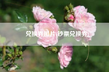 兑换券图片(钞票兑换券)