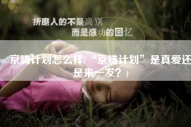 京腾计划怎么样(“京腾计划”是真爱还是来一发？)