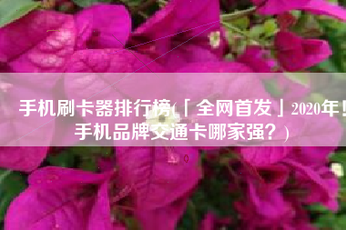 手机刷卡器排行榜(「全网首发」2020年！手机品牌交通卡哪家强？)