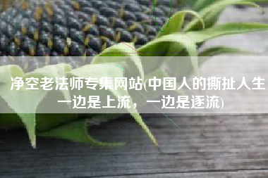 净空老法师专集网站(中国人的撕扯人生：一边是上流，一边是逐流)