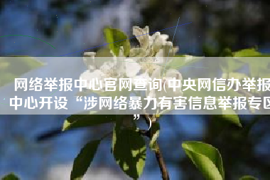 网络举报中心官网查询(中央网信办举报中心开设“涉网络暴力有害信息举报专区”)
