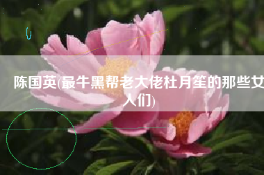陈国英(最牛黑帮老大佬杜月笙的那些女人们)