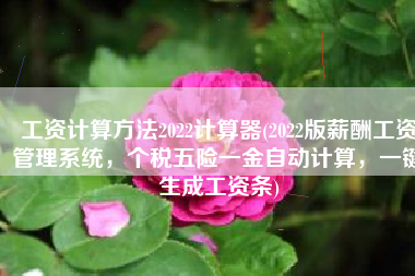 工资计算方法2022计算器(2022版薪酬工资管理系统，个税五险一金自动计算，一键生成工资条)