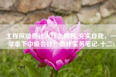 工程保险费计入什么科目(充实自我，一举拿下中级会计！会计实务笔记-十二)