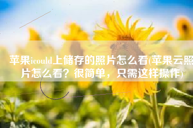 苹果icould上储存的照片怎么看(苹果云照片怎么看？很简单，只需这样操作)