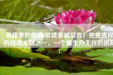 梁建章的微博(梁建章被禁言！他是携程的灵魂人物之一，一个催生办主任的困局)