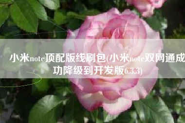 小米note顶配版线刷包(小米note双网通成功降级到开发版6.3.3)