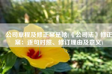 公司章程及修正案是啥(《公司法》修正案：逐句对照、修订理由及意义)